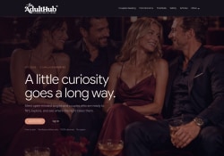 TheAdultHub